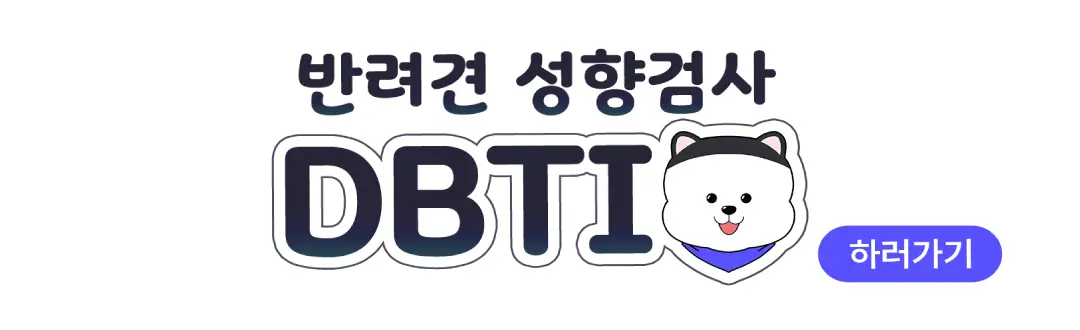 DBTI 하러가기