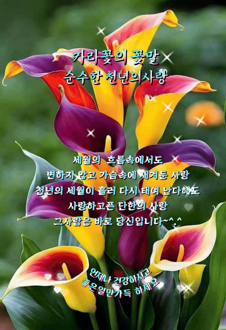 앨범에서 움직이는 영상인데 포동에선 안움직이네요 - 포동 | 커뮤니티