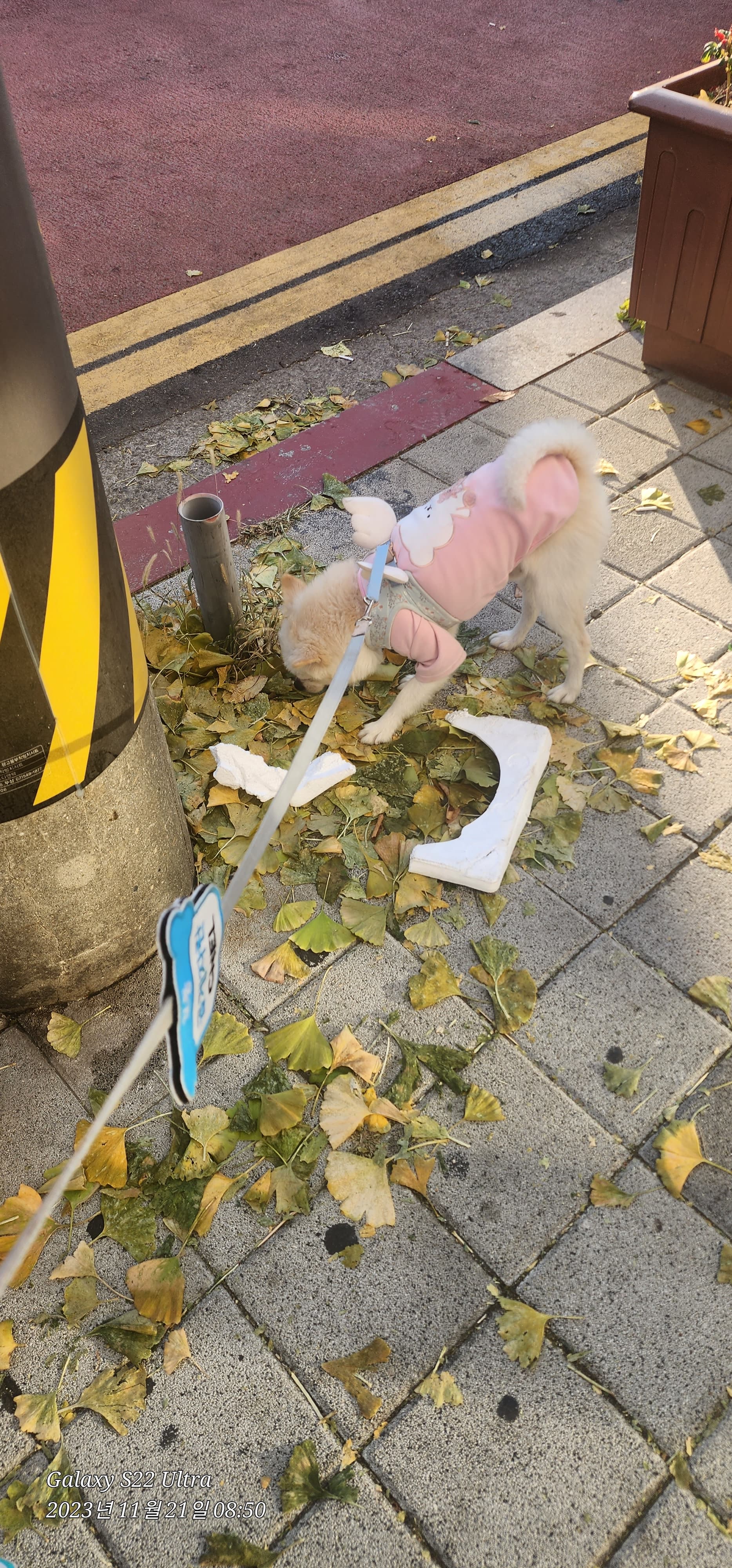 이미지