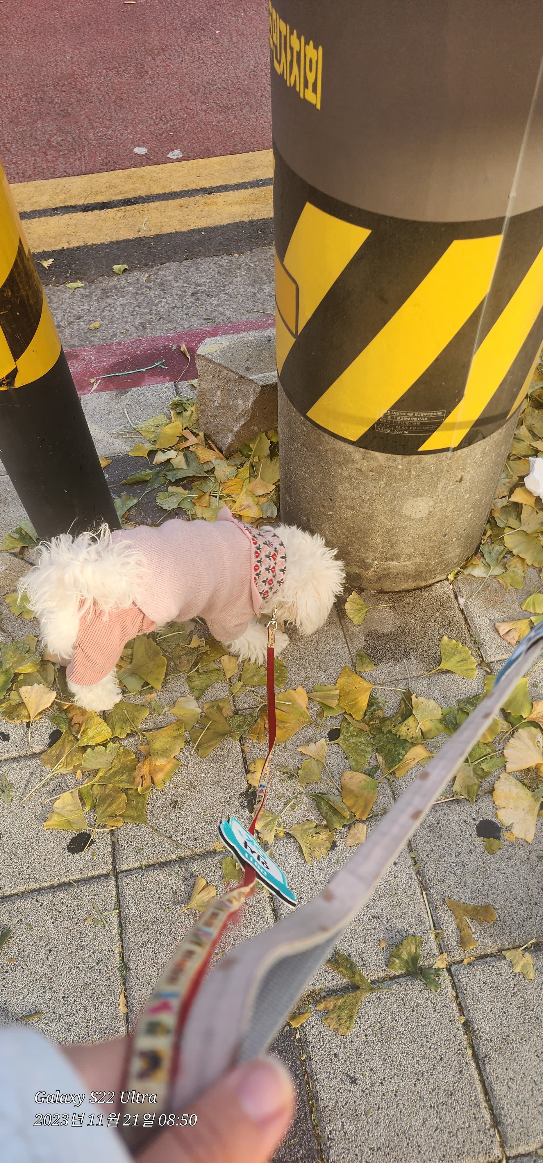 이미지