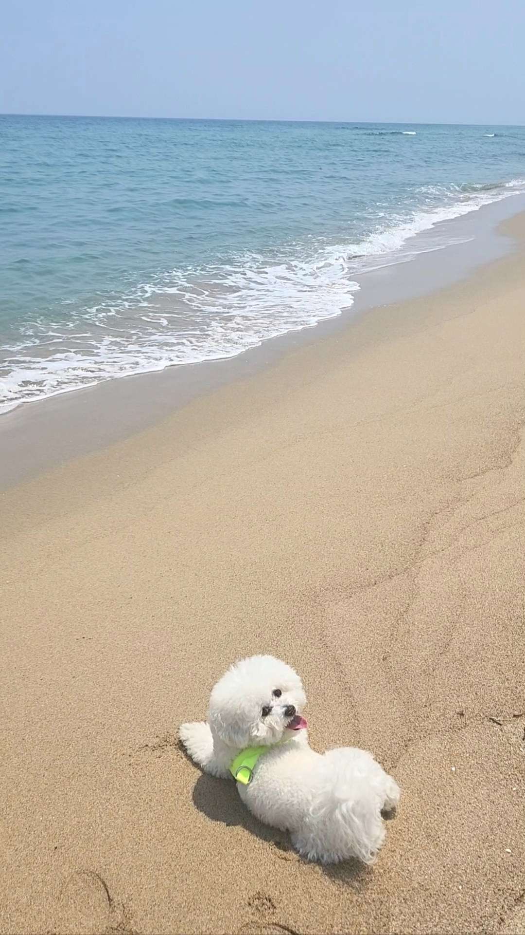 여름 바닷가~😄🏖🏝🌞 - 포동 | 커뮤니티