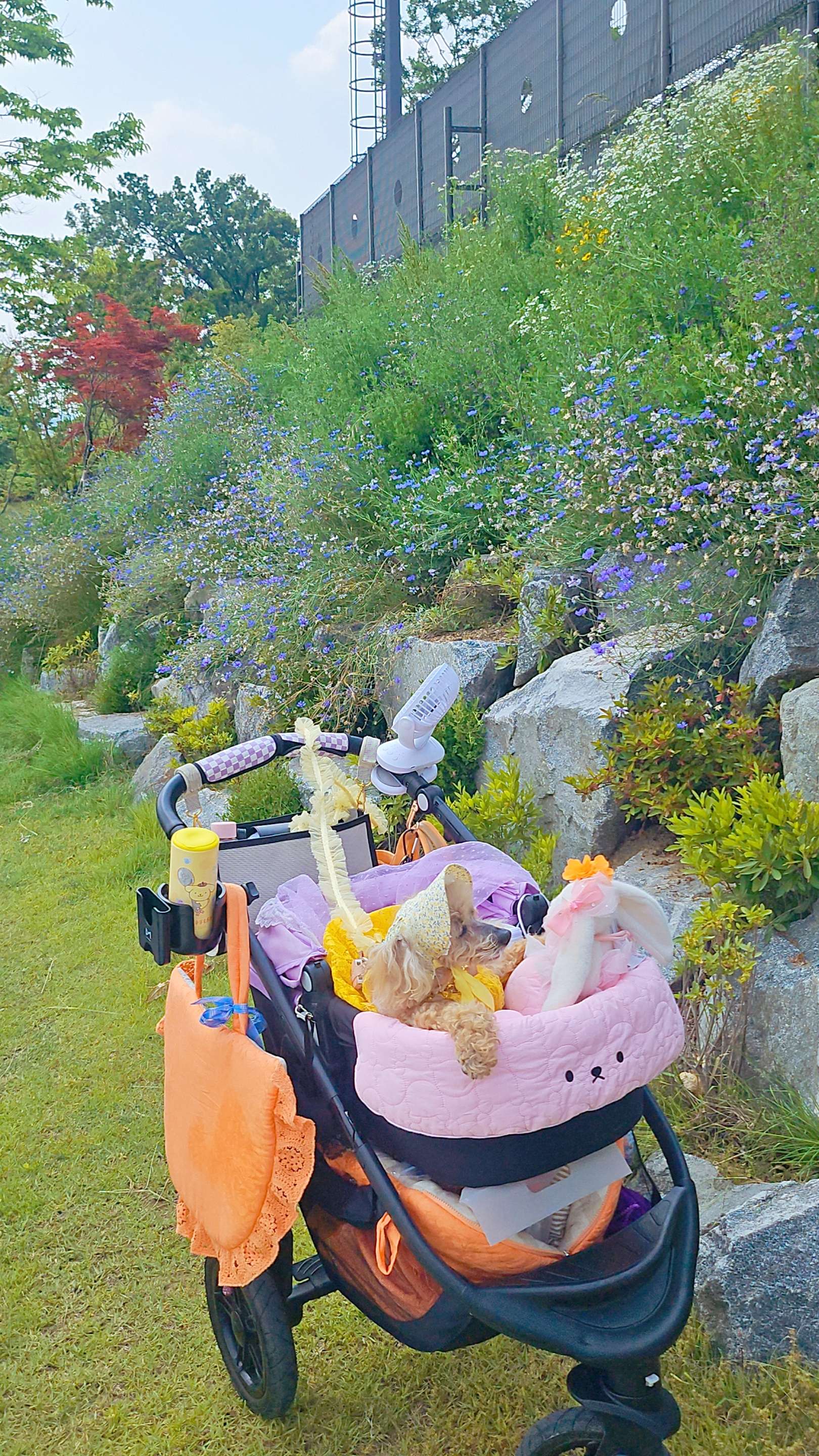 엔딩은 카페베네짤 된 ㅋㅋ - 포동 | 커뮤니티