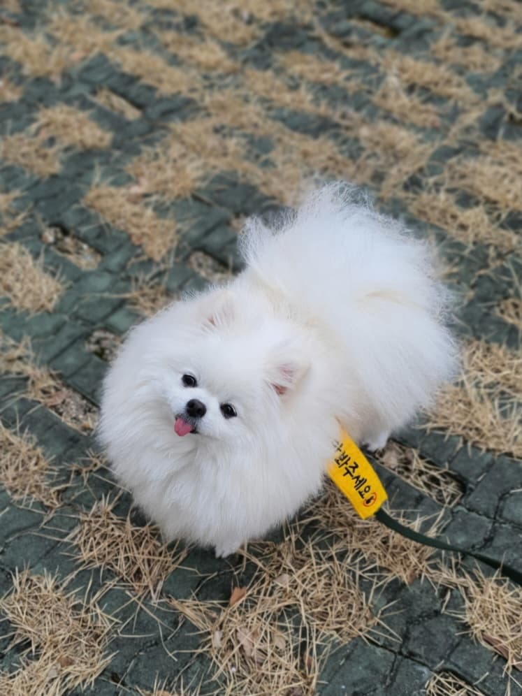이미지