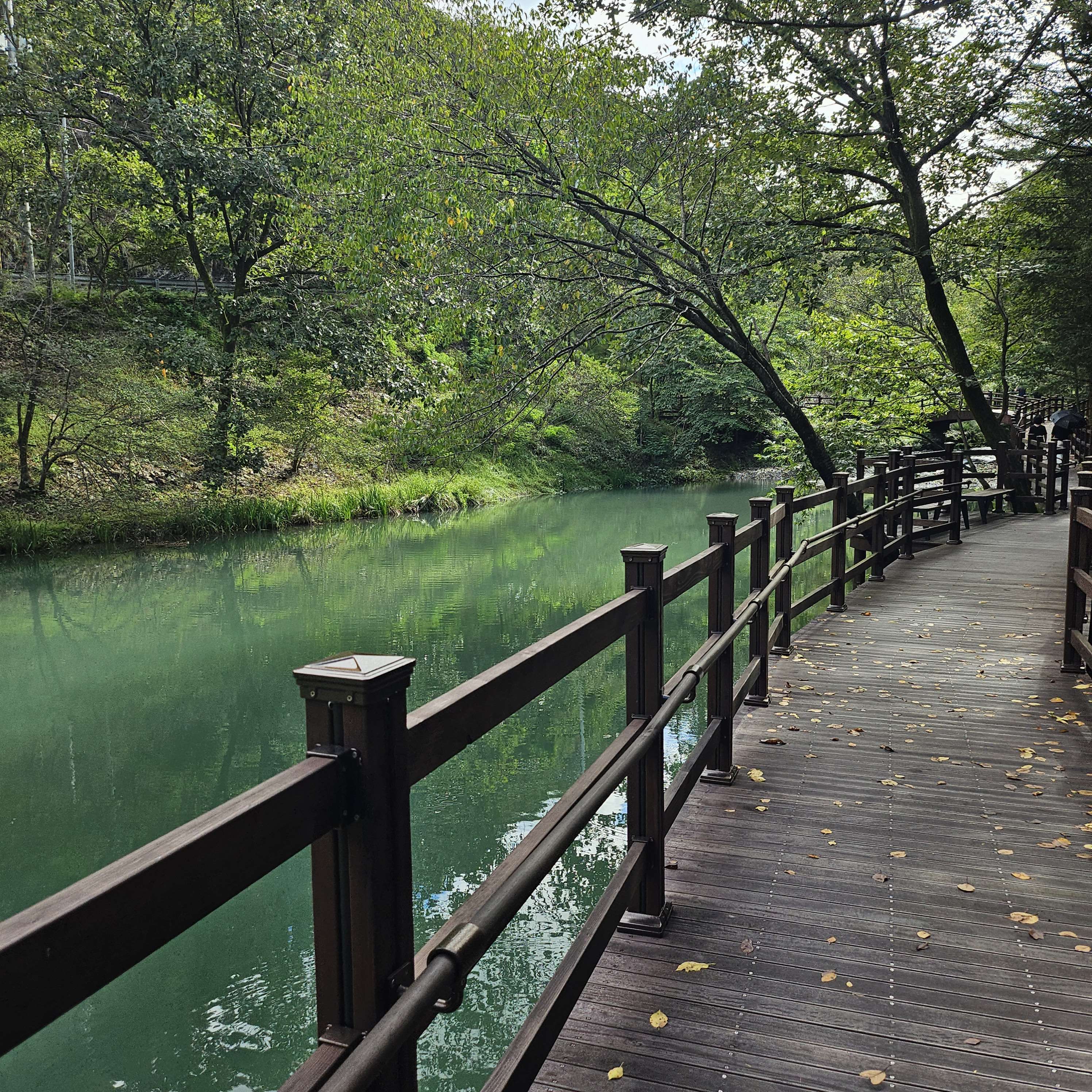 만인산 휴양림 - 포동 | 커뮤니티