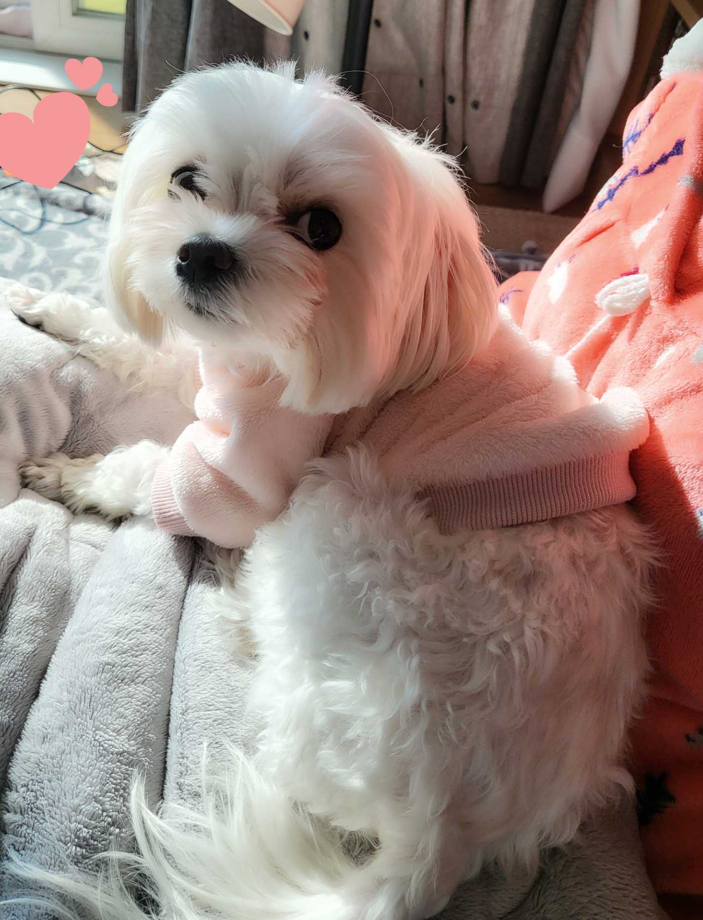 이미지