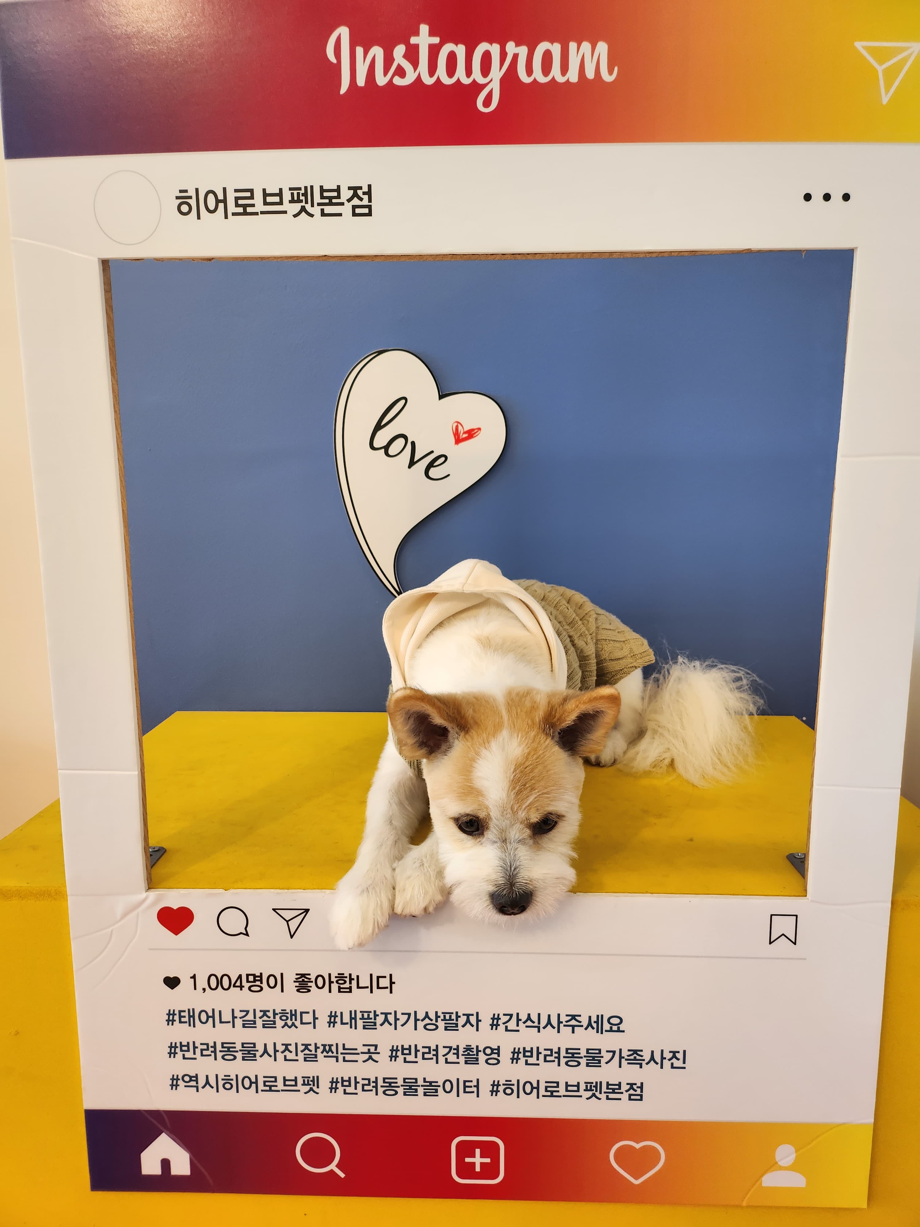 이미지