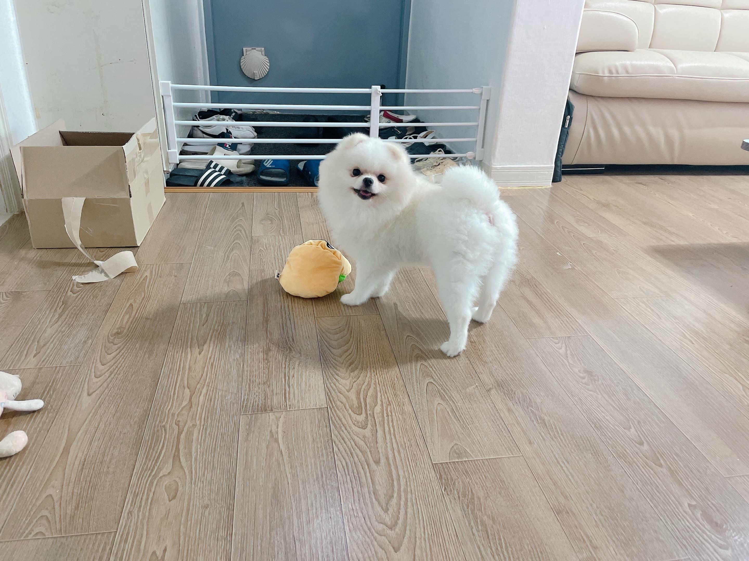 포동버거 당첨💖 - 포동 community