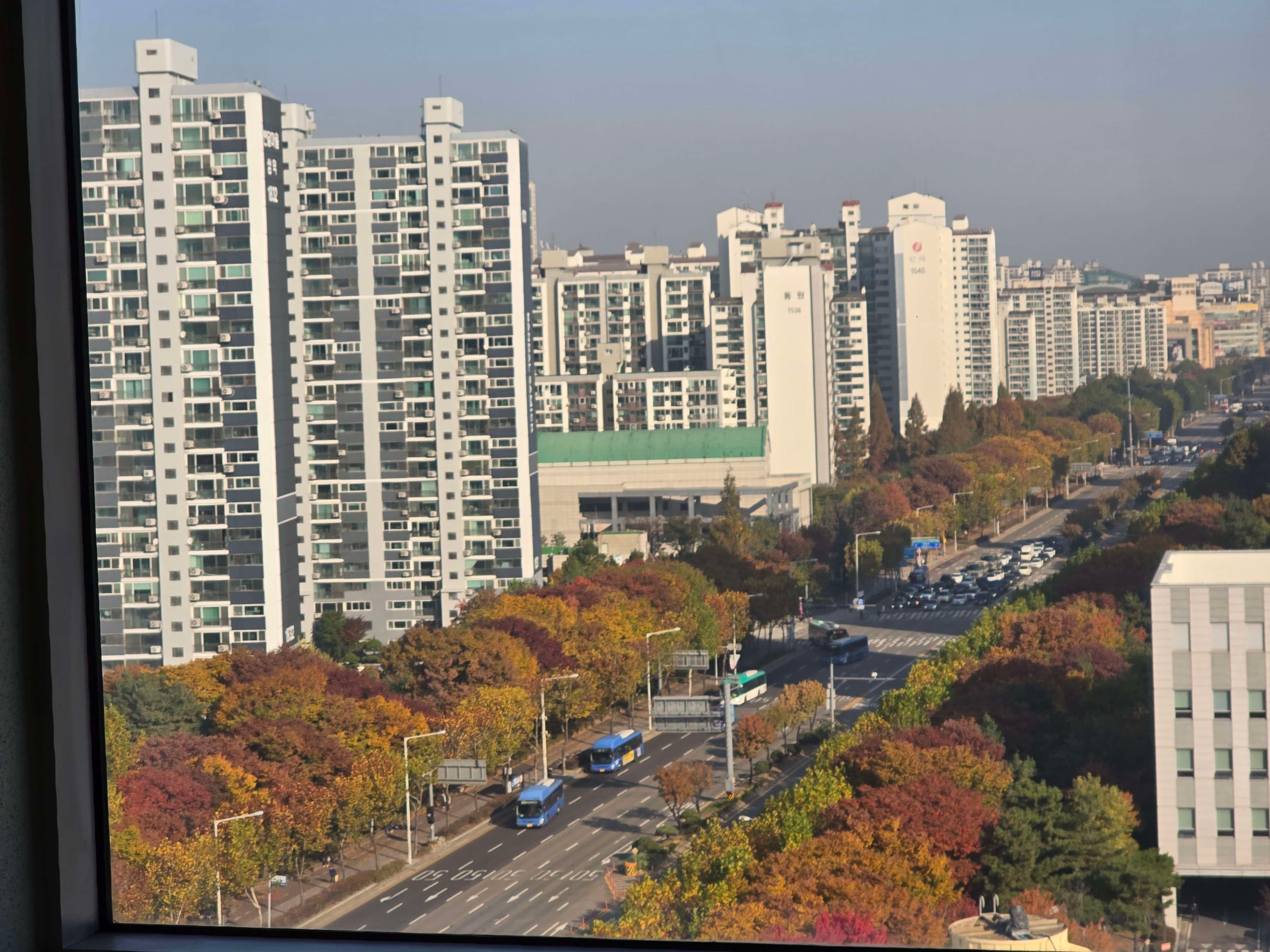 단풍이 울긋불긋 - 포동 | 커뮤니티