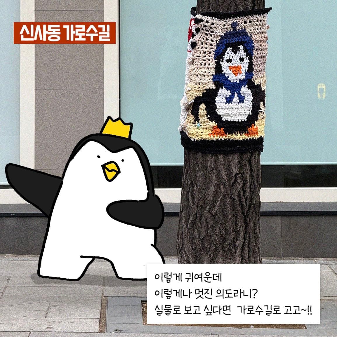 신사동 가로수길에 가면 즐겨보아요 - 포동 | 커뮤니티
