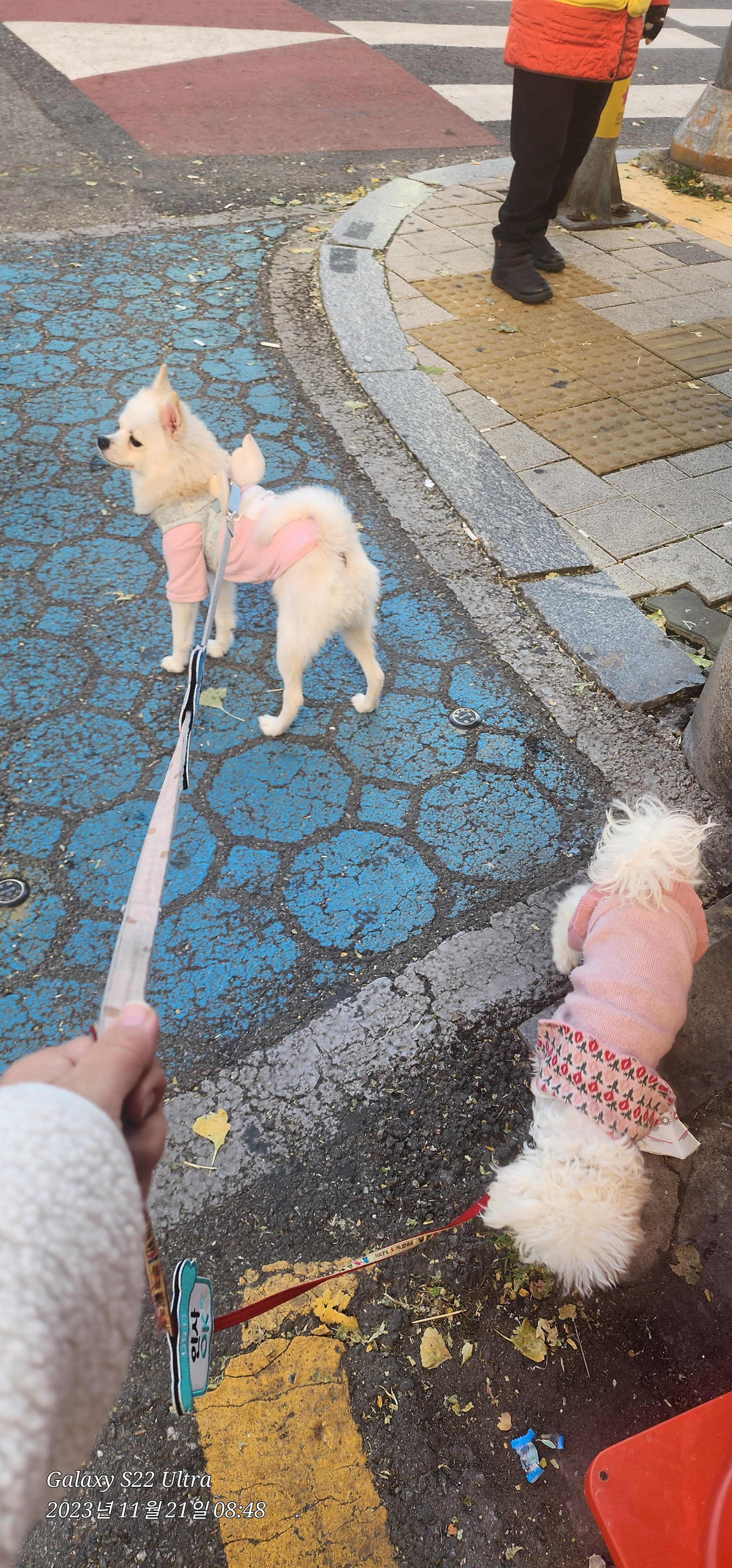이미지