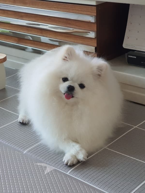이미지