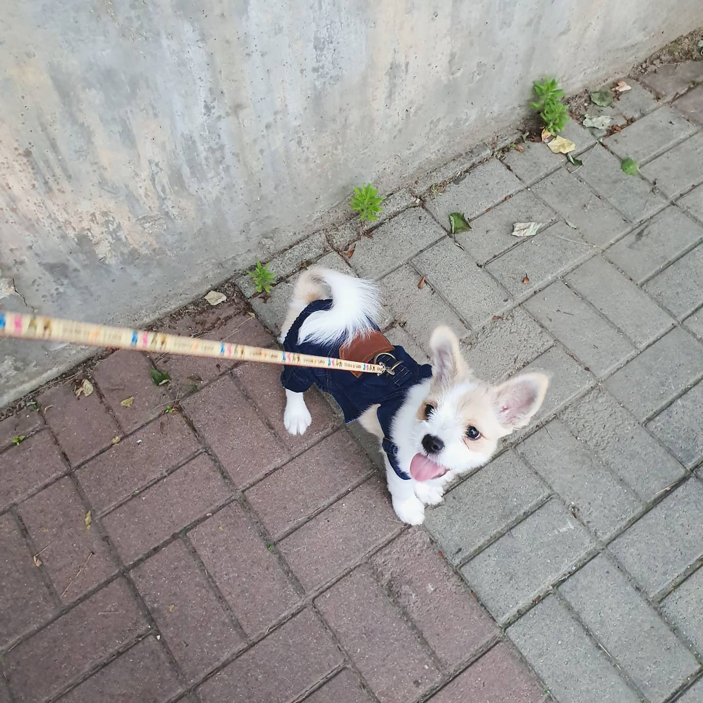 이미지