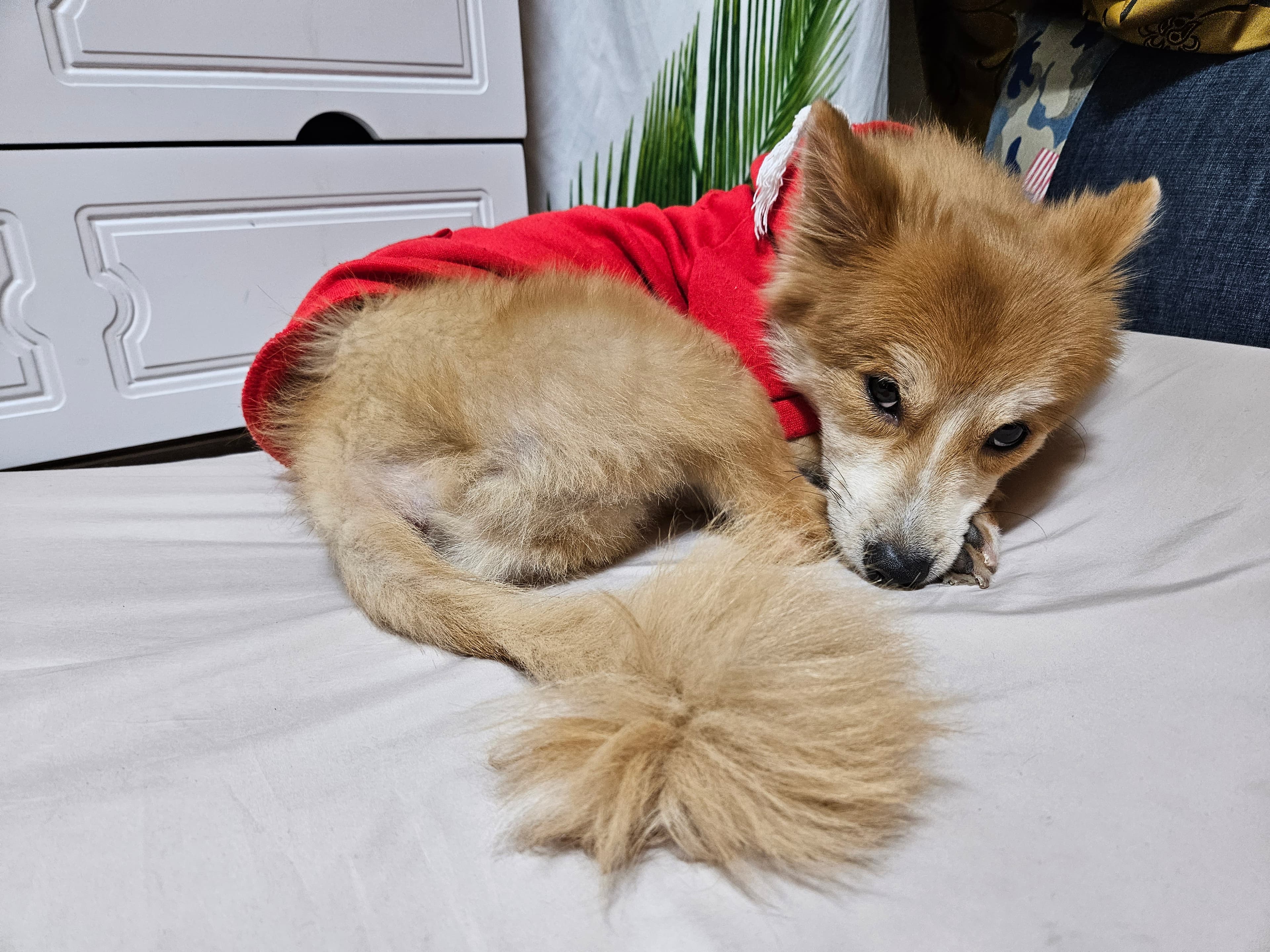 이미지