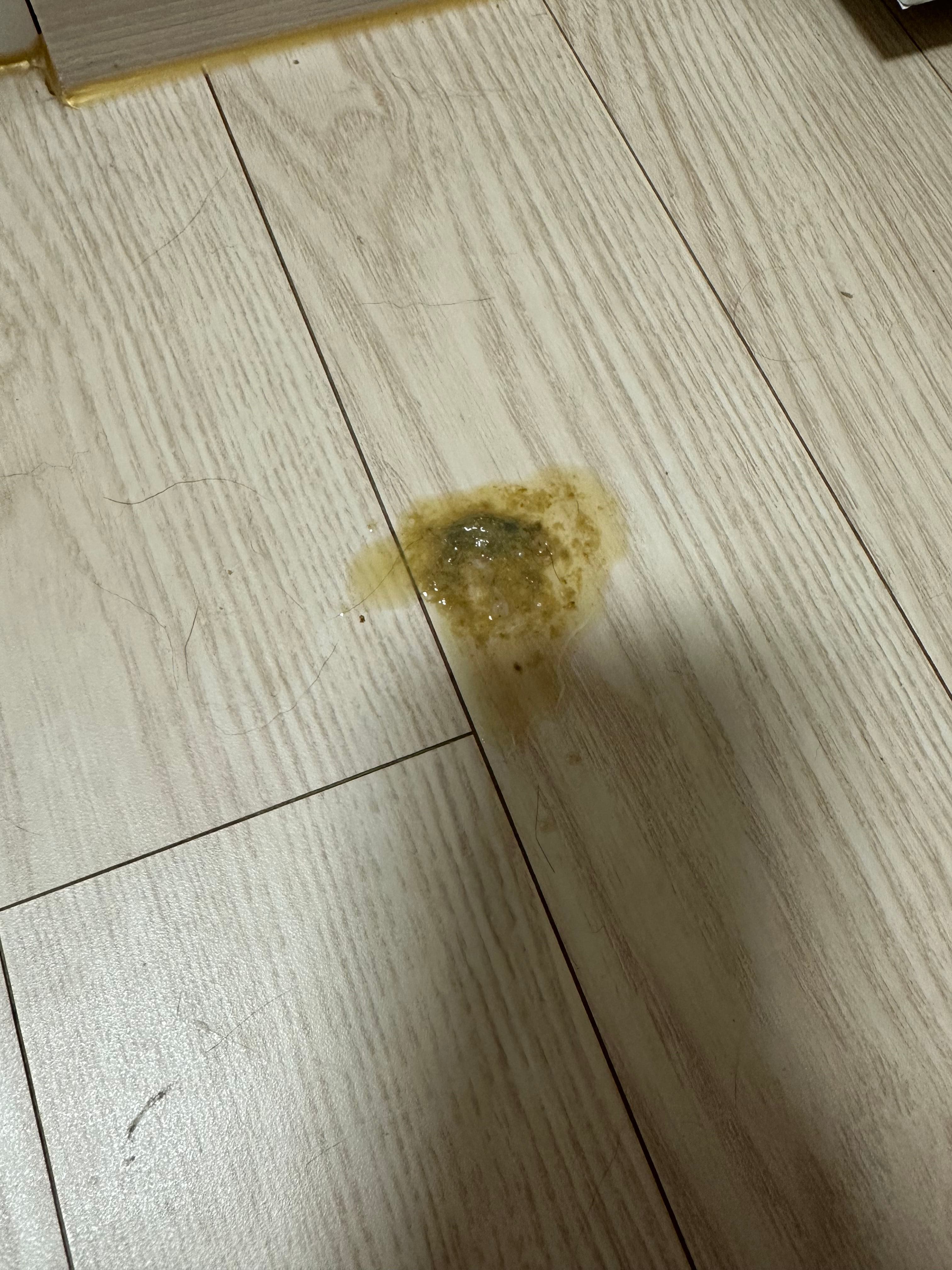 계속 토를 해요ㅠㅠ - 포동 | 커뮤니티