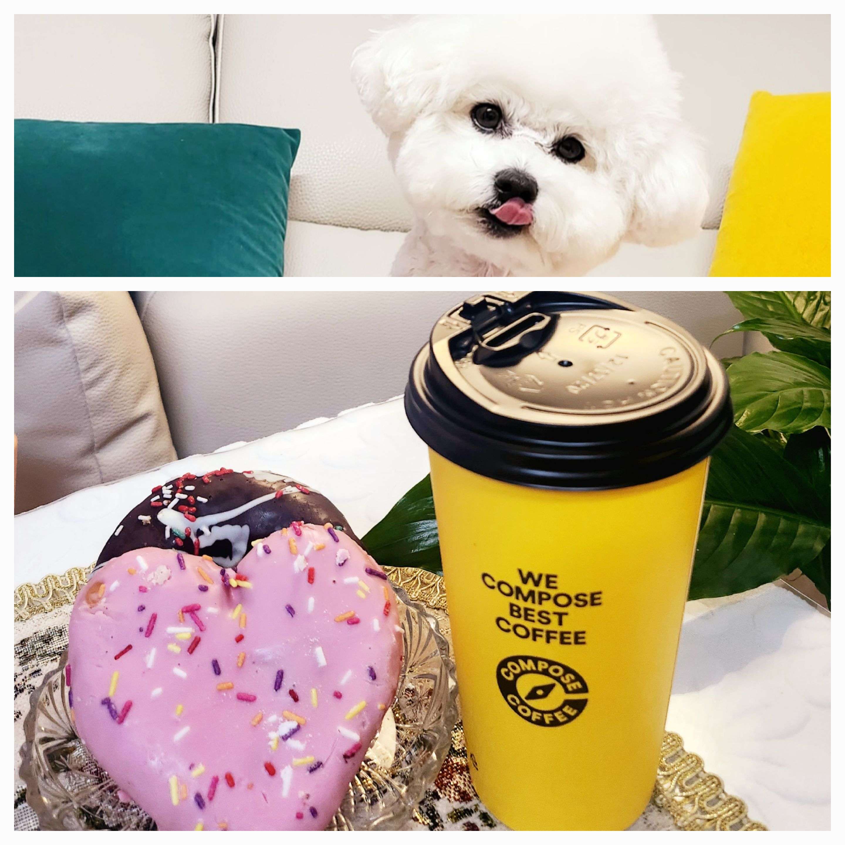 포동 에서 (컴포즈 커피)쿠폰 🎁 받았어요~🥰🎊 - 포동 | 커뮤니티