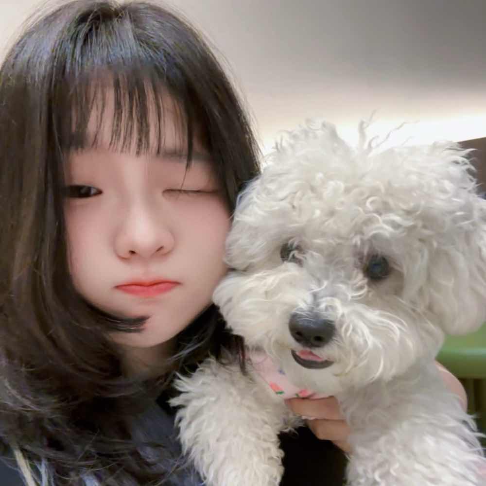🔥토론 배틀🔥 반려동물 염색, 어떻게 생각하세요? 🧐 - 포동 | 커뮤니티