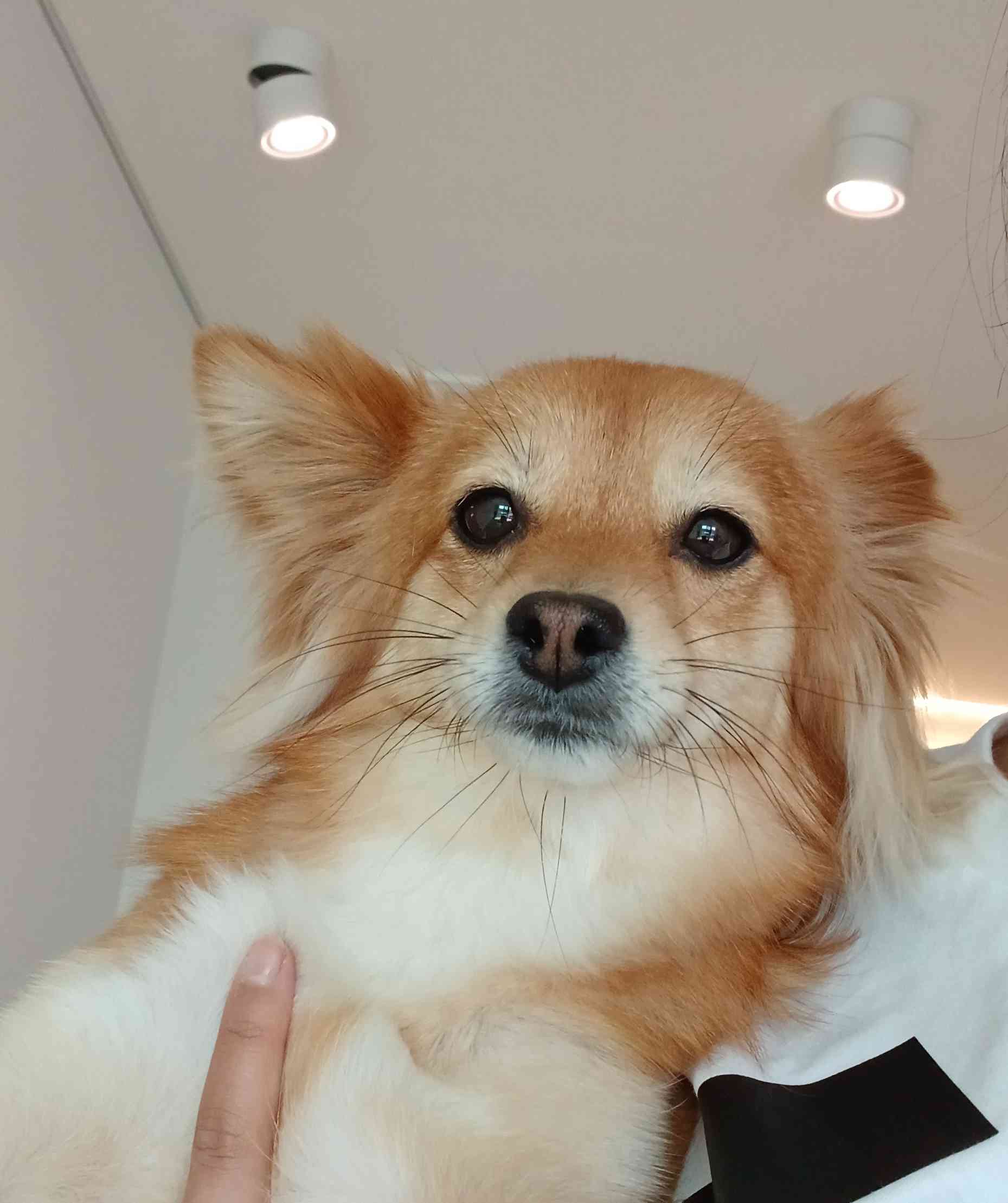 카페 - 포동 | 커뮤니티