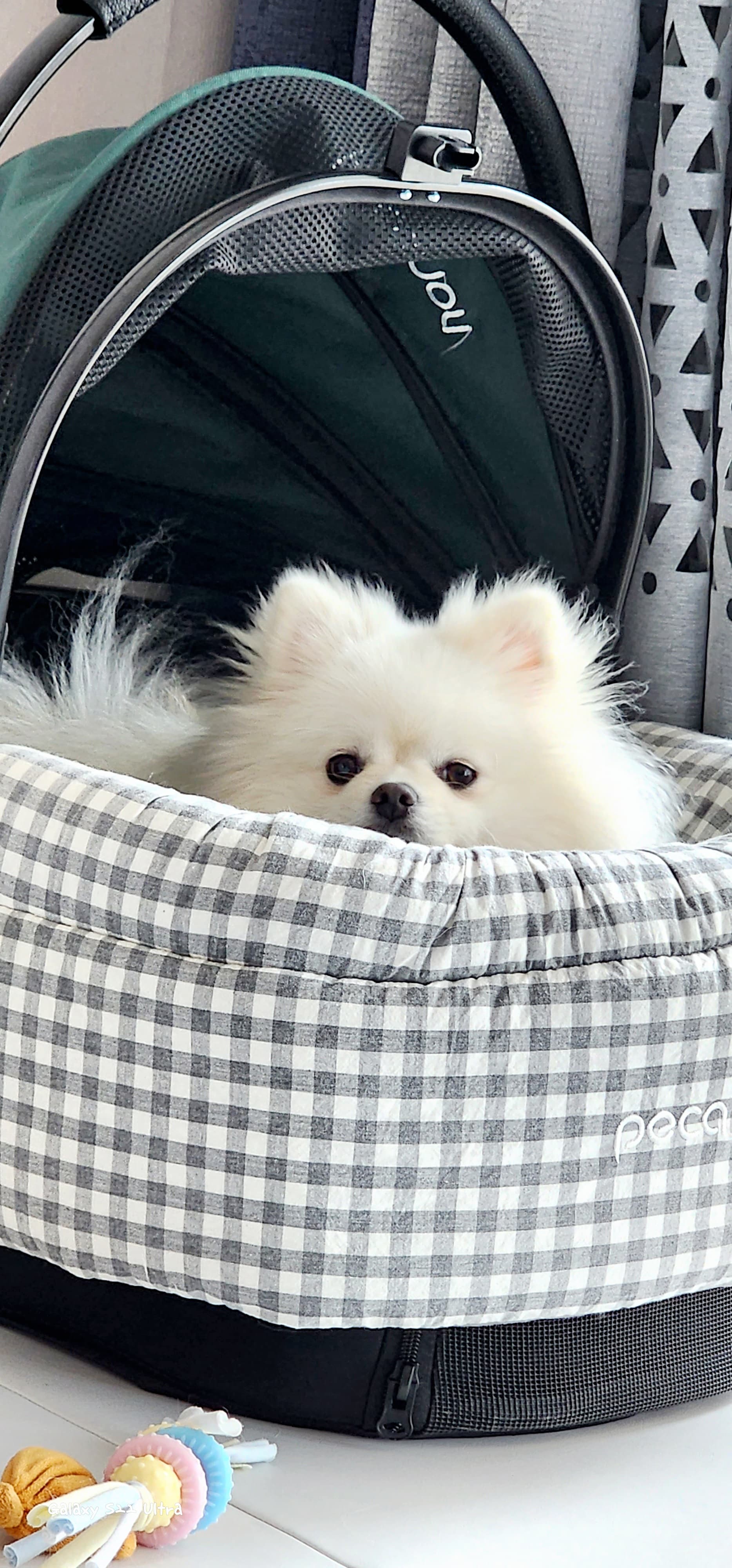 사용자 프로필
