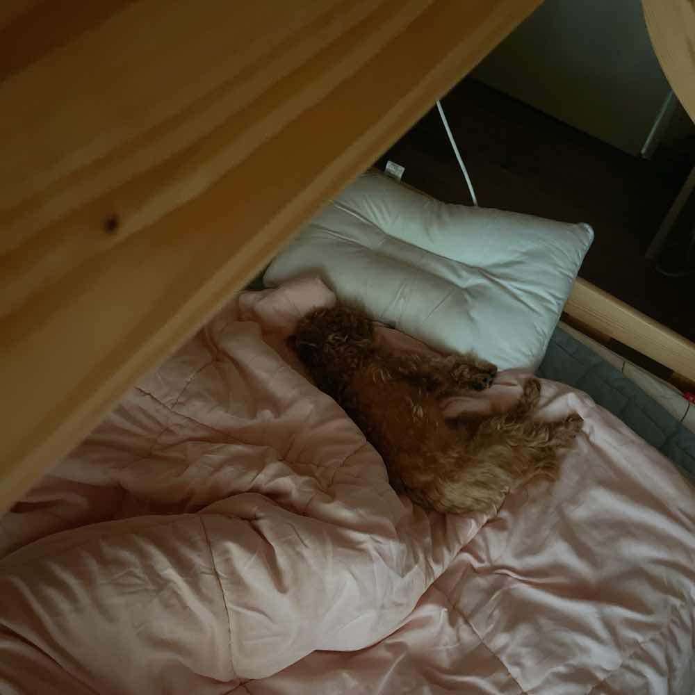 사용자 프로필
