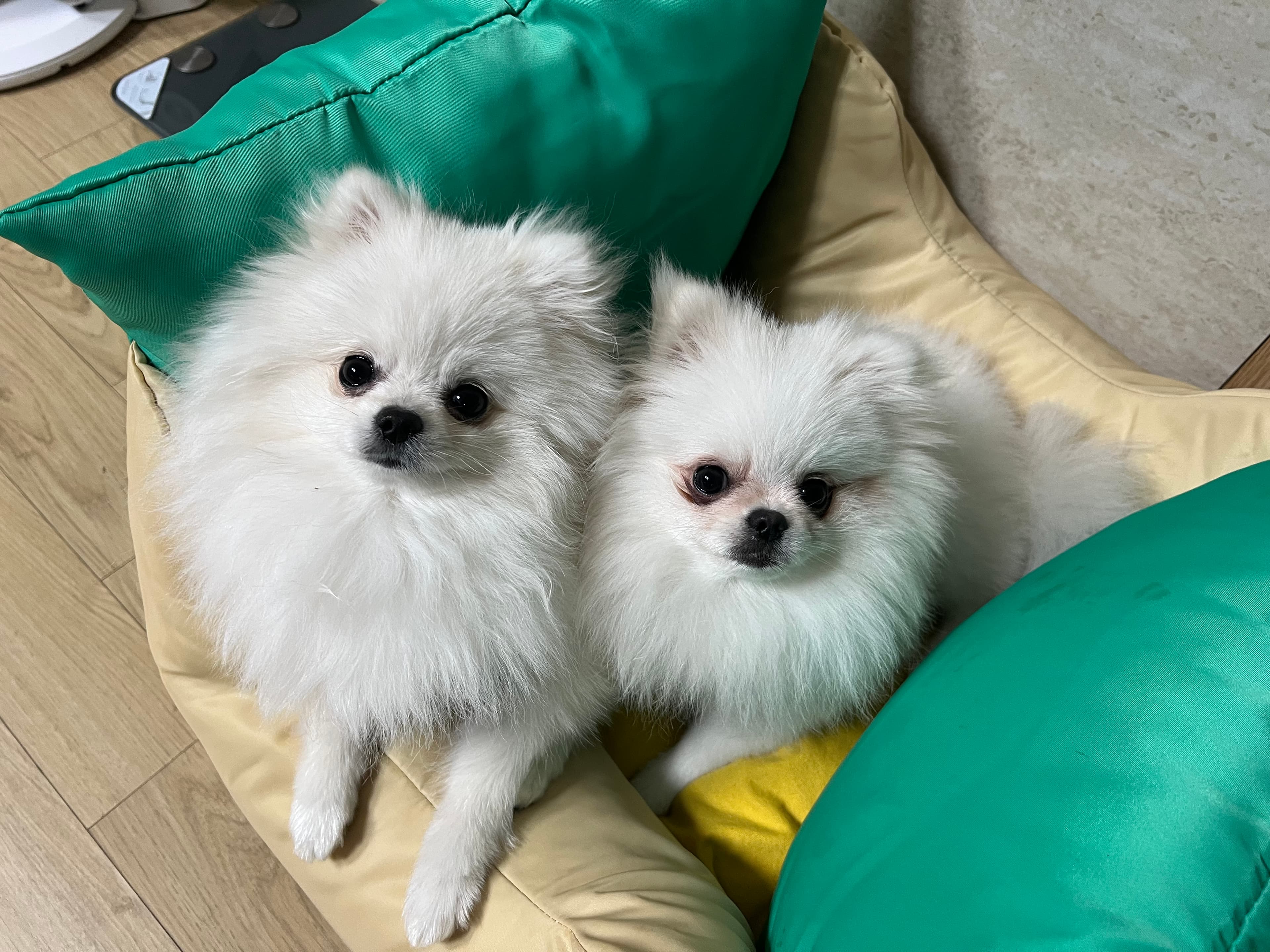 사용자 프로필