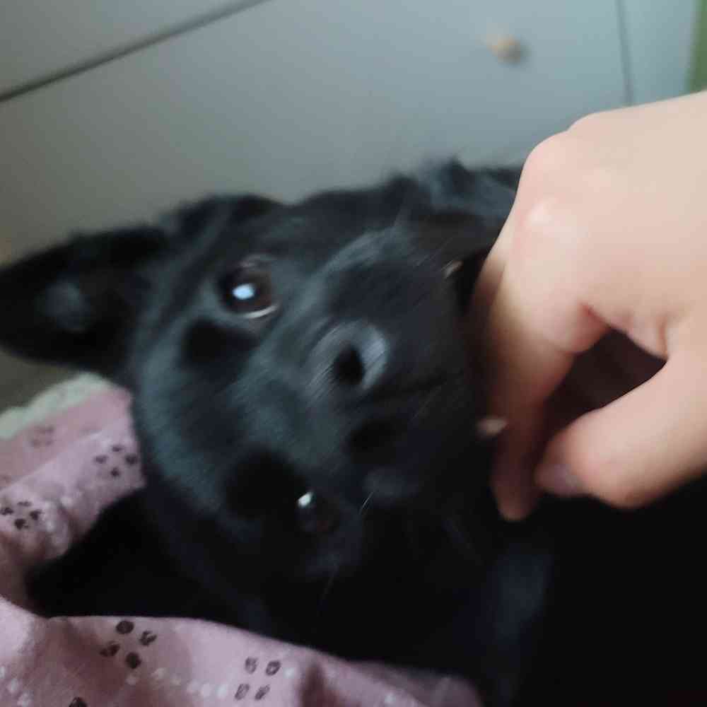 사용자 프로필
