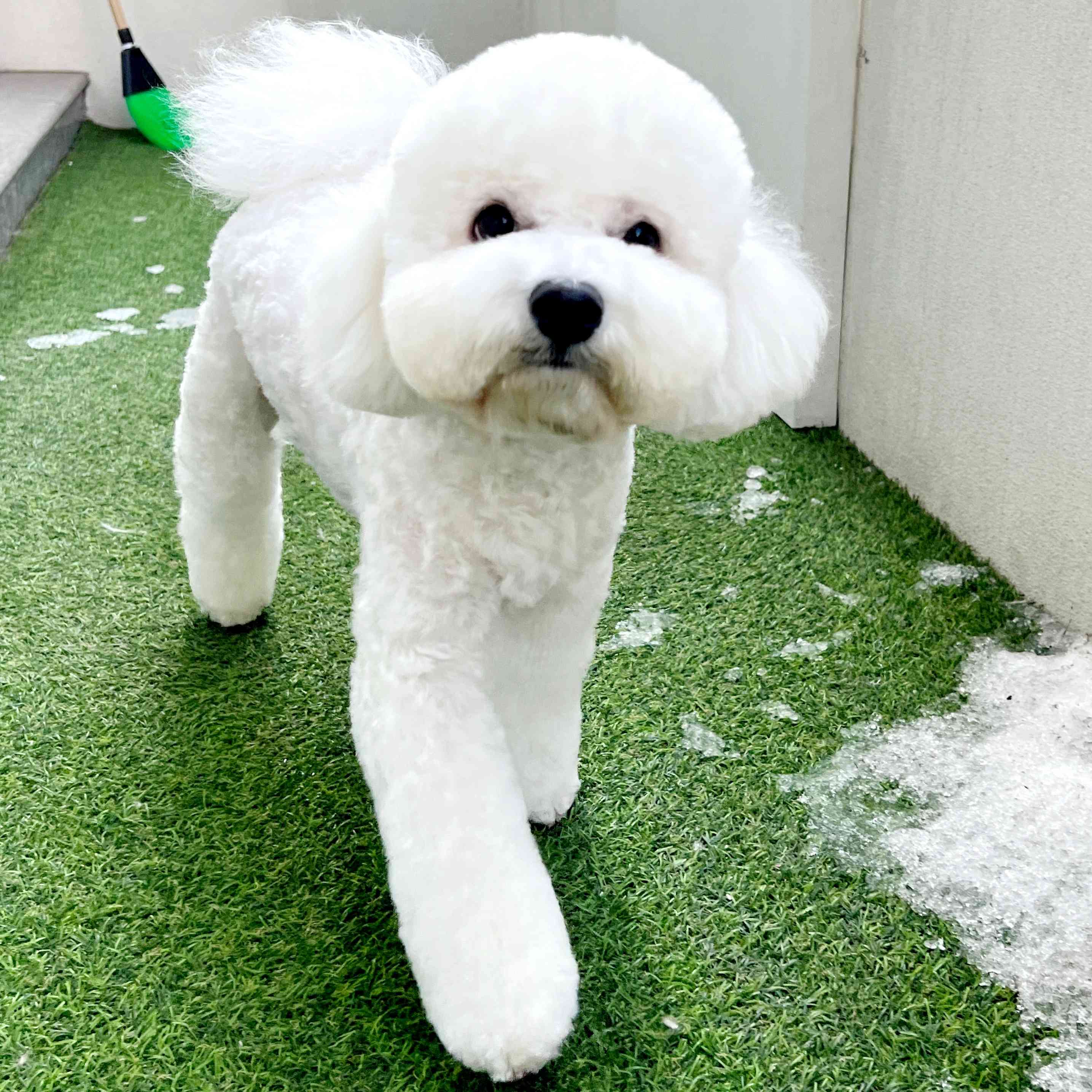 안녕하세요 릴리맘 이에요~~^^ - 포동 | 커뮤니티