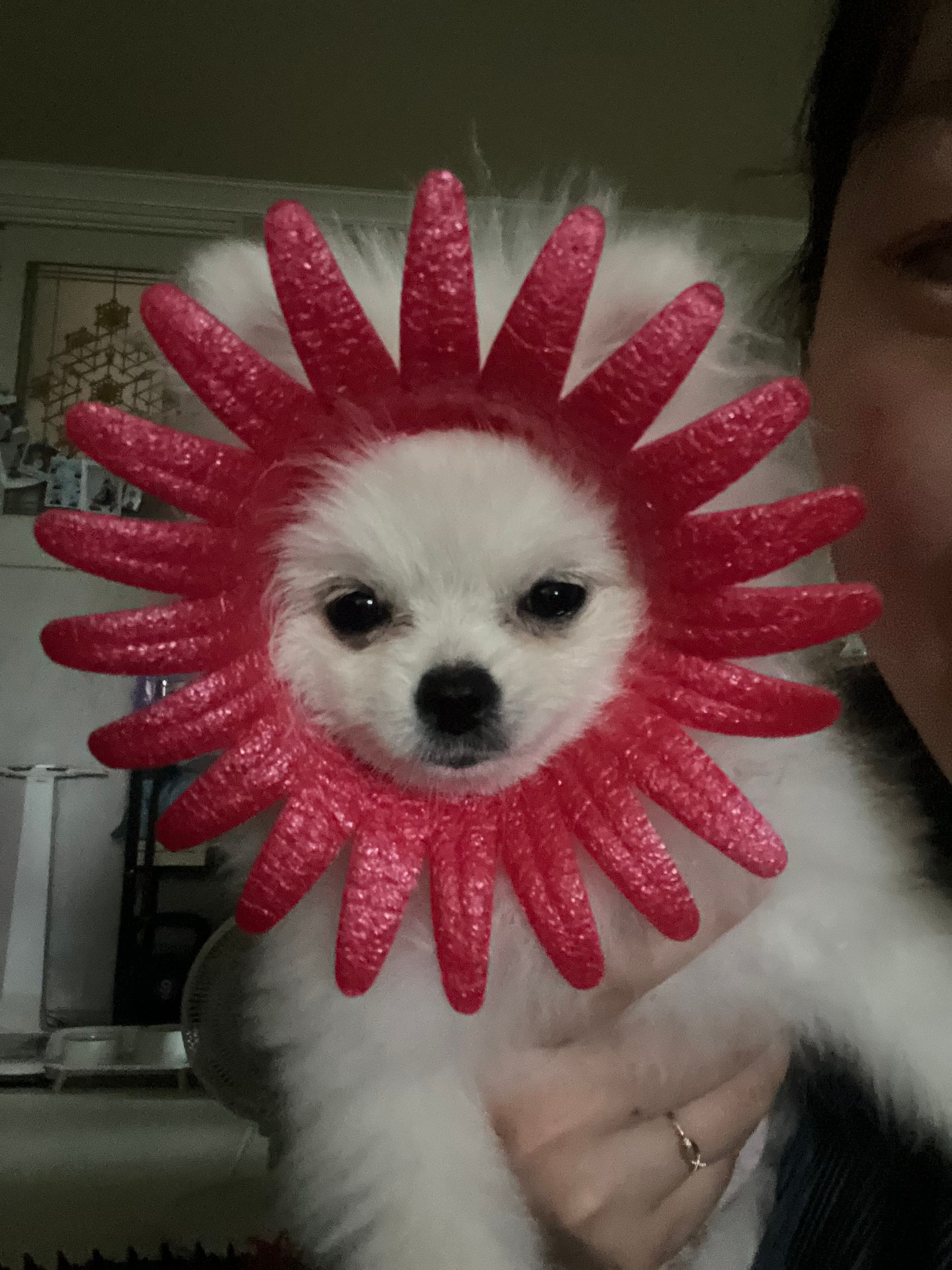 이미지