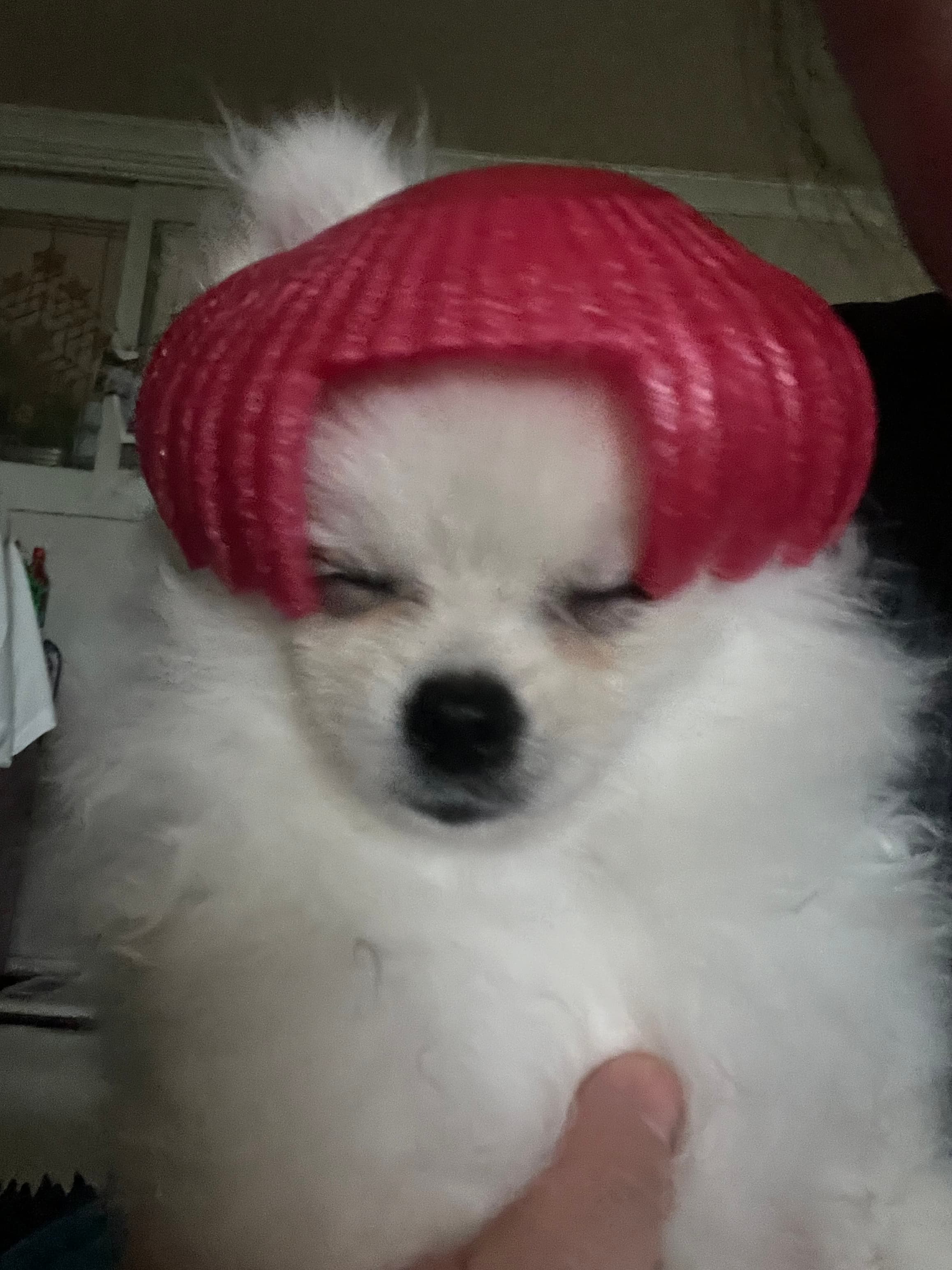 이미지