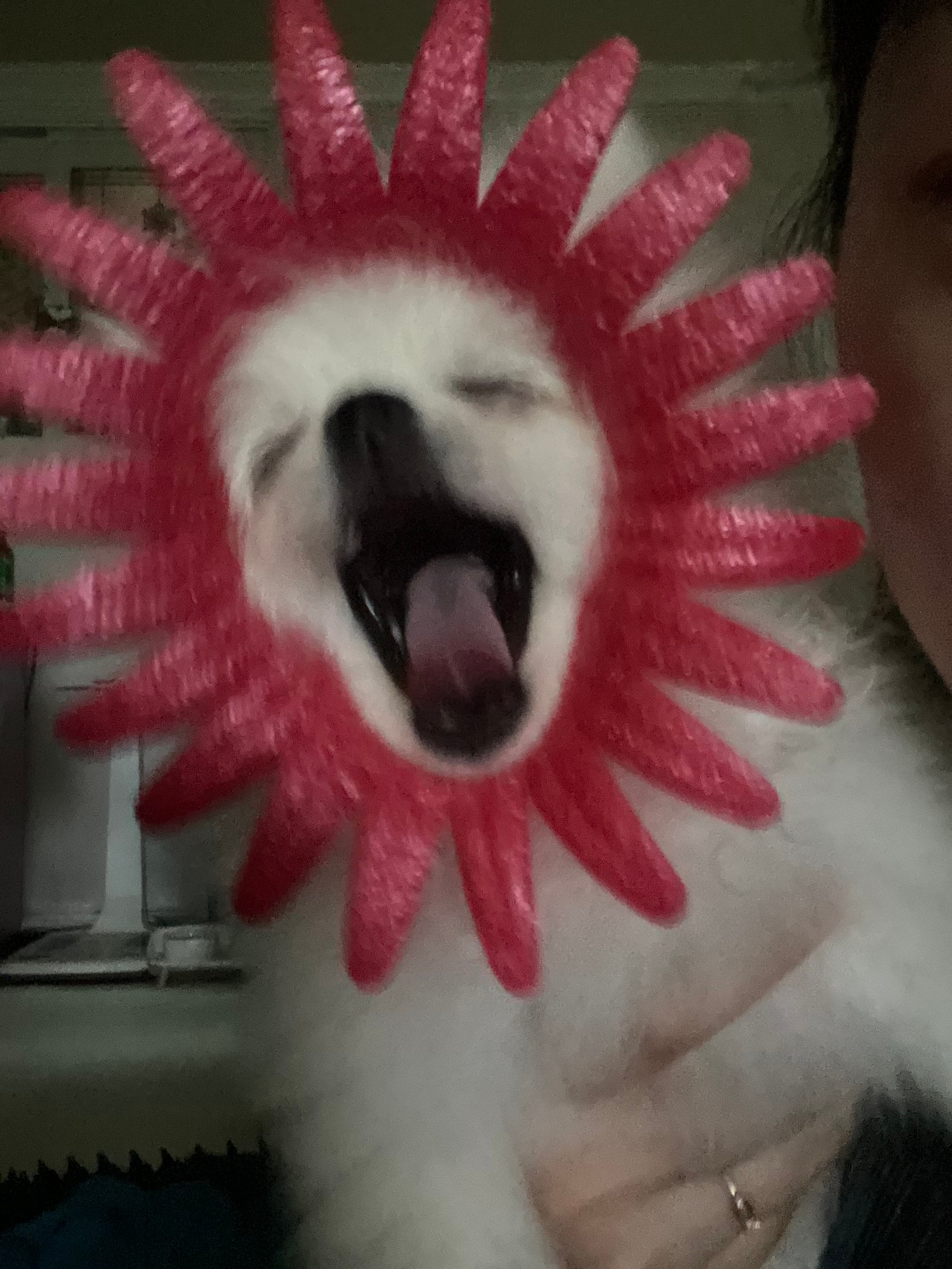 이미지