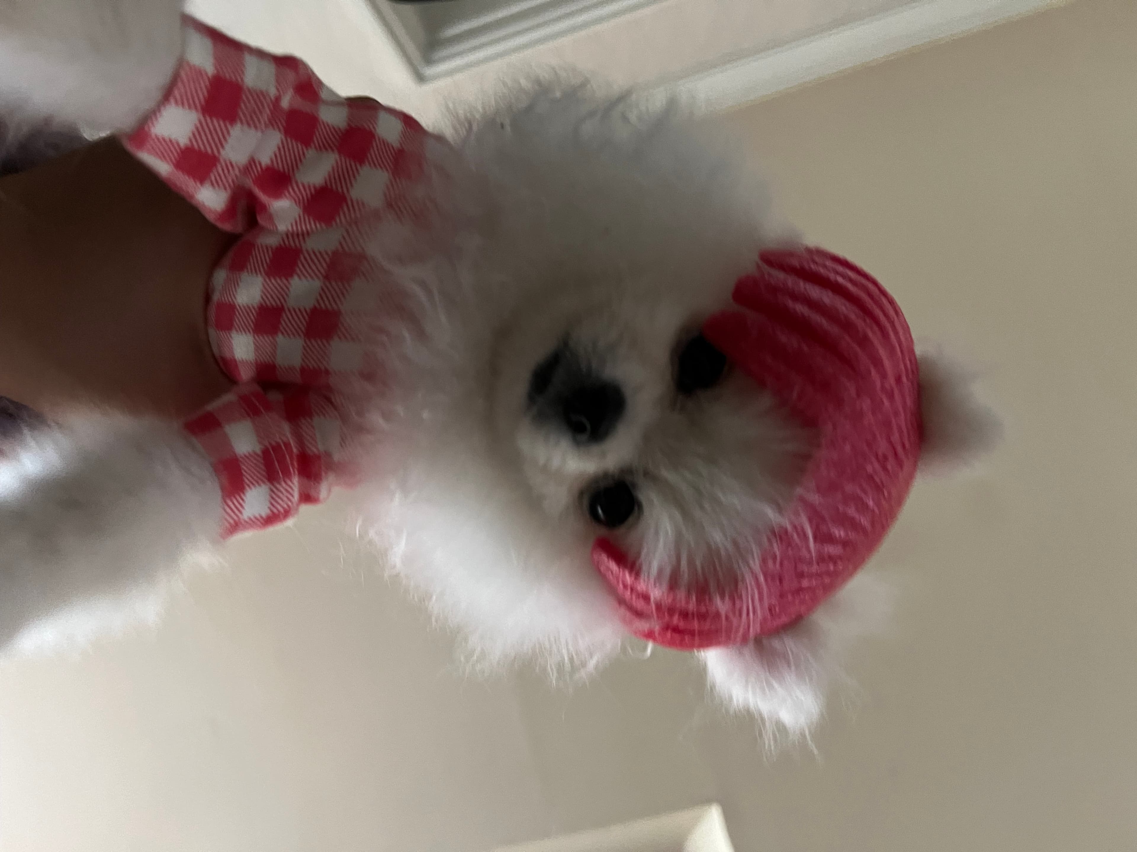 이미지