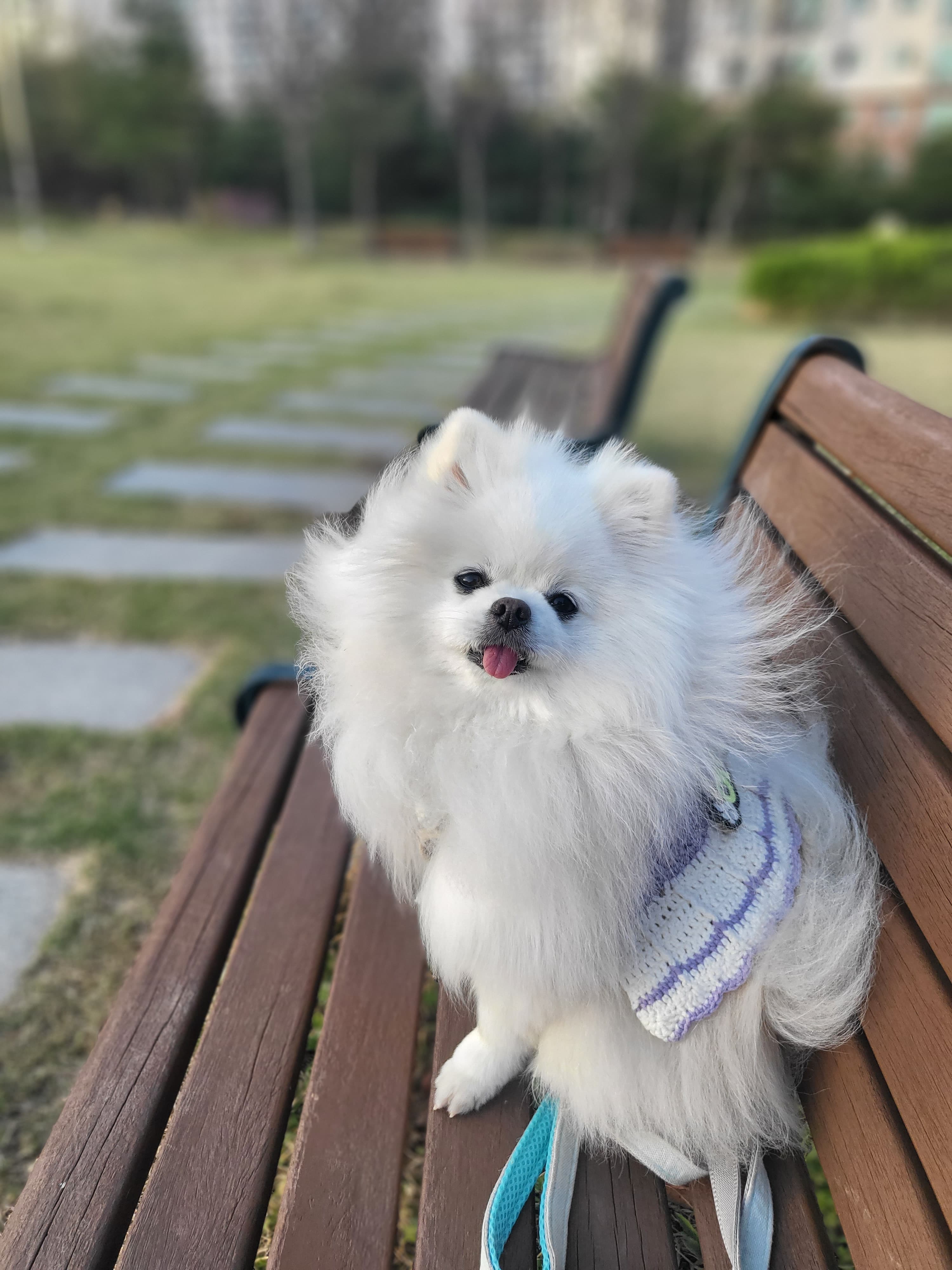 사용자 프로필