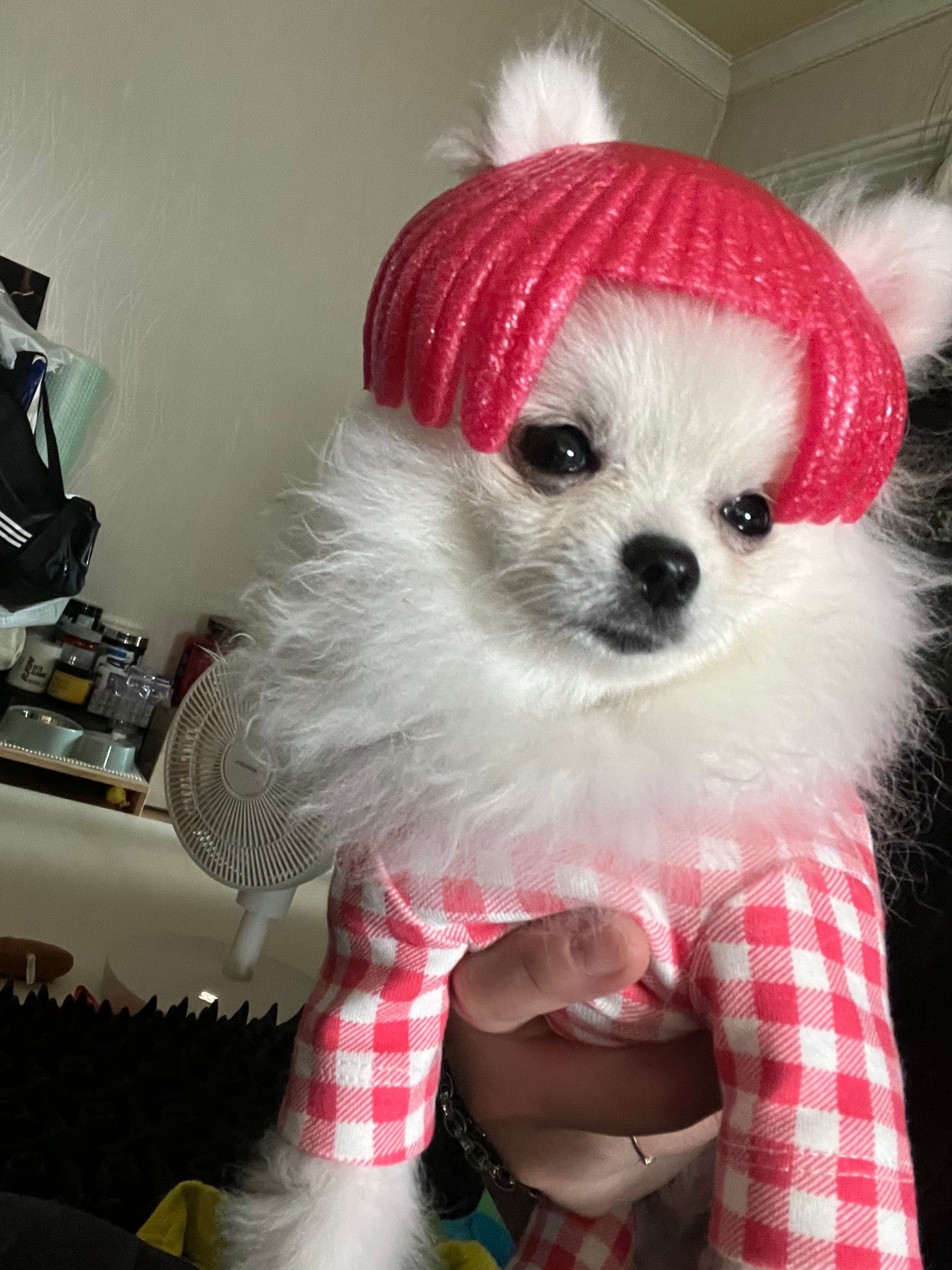 이미지