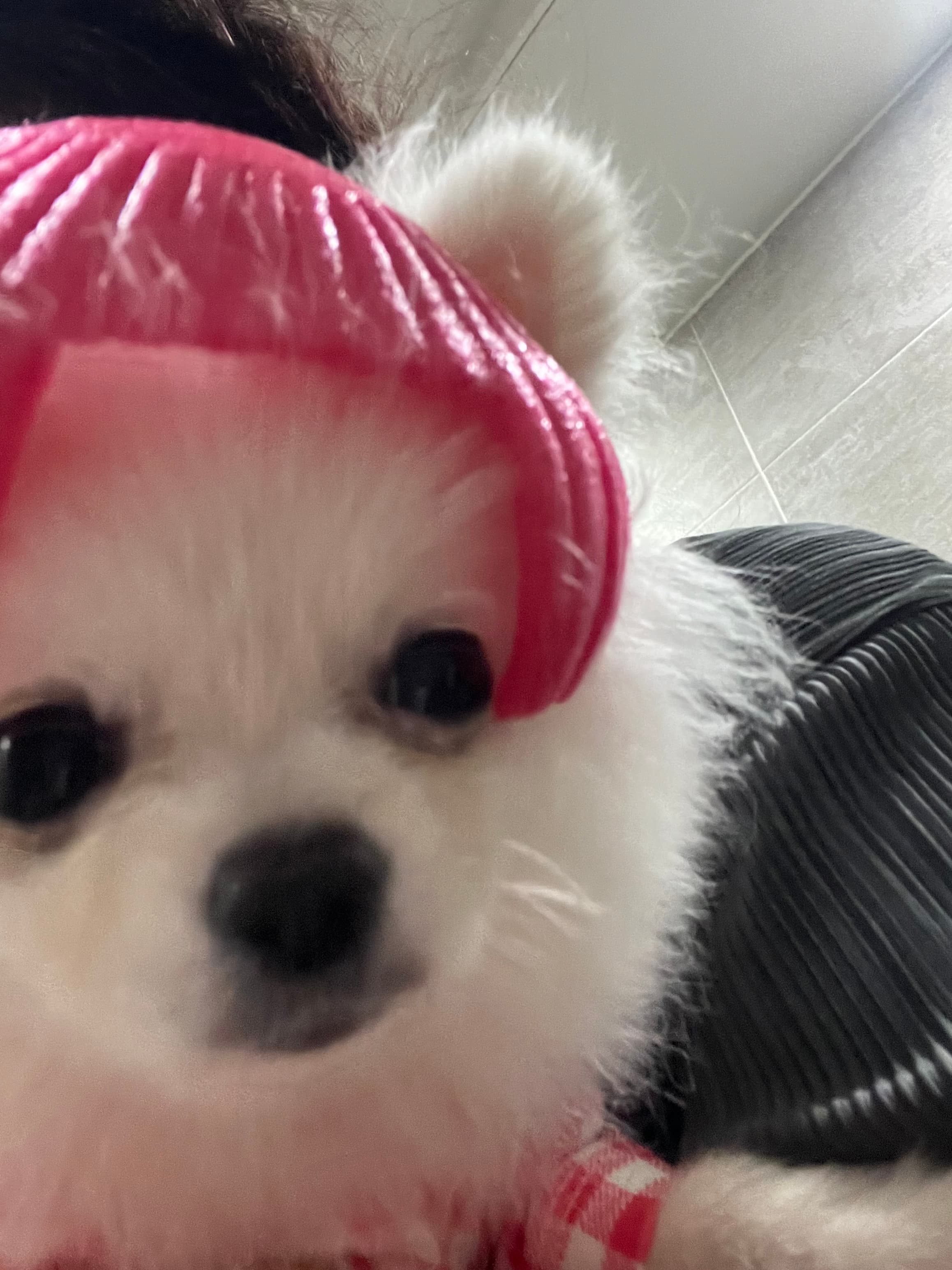 이미지