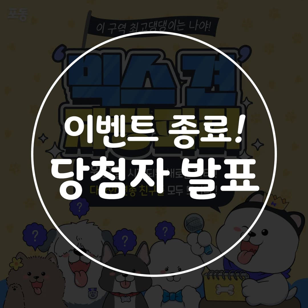 믹스견의 매력을 자랑해주세요🐕💖 - 포동 | 커뮤니티