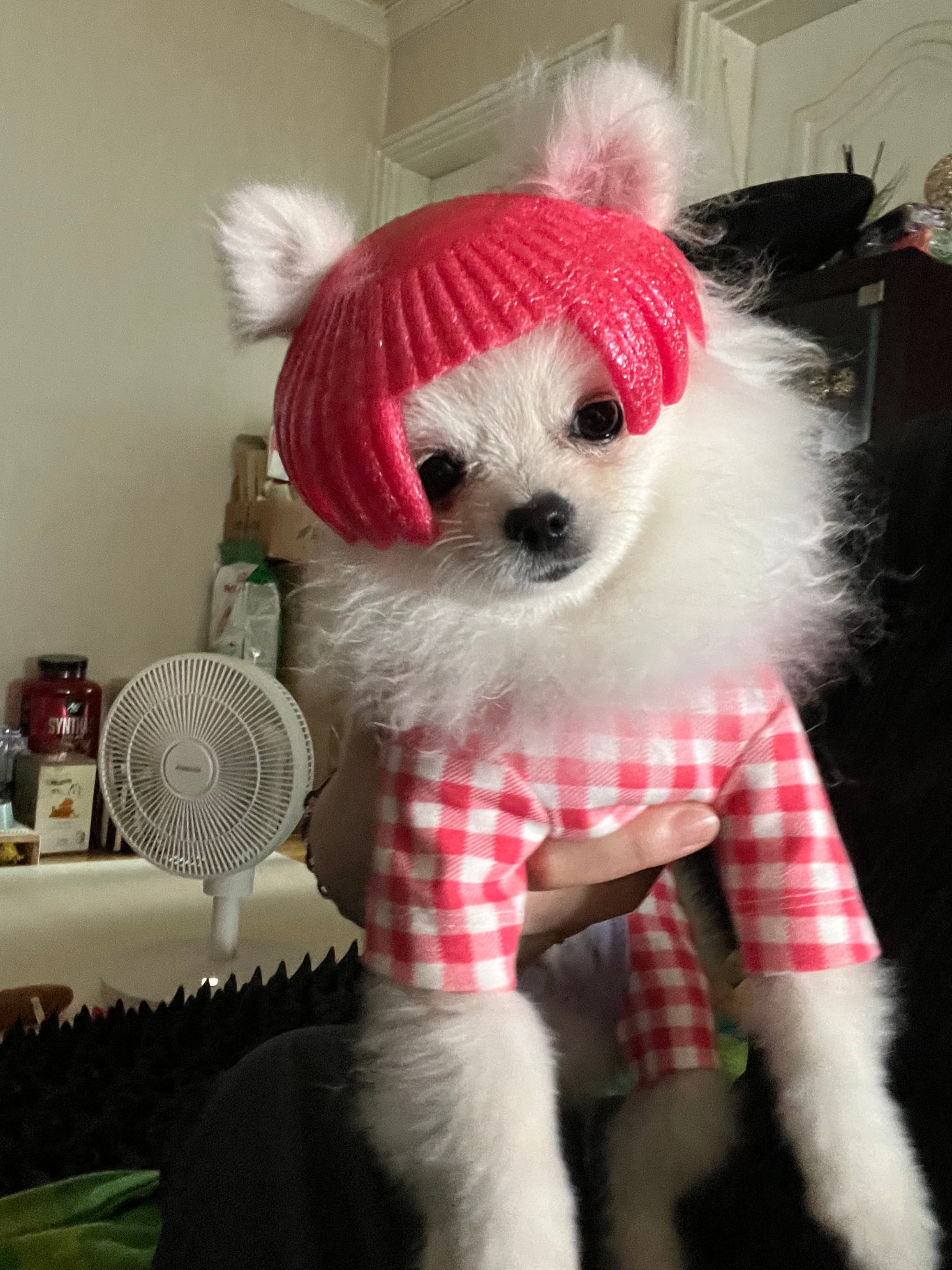 이미지